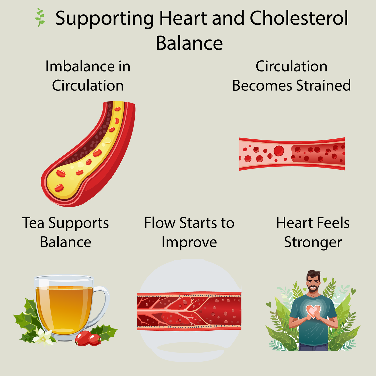 Heart and Lipid Wellness Tea - Image 3