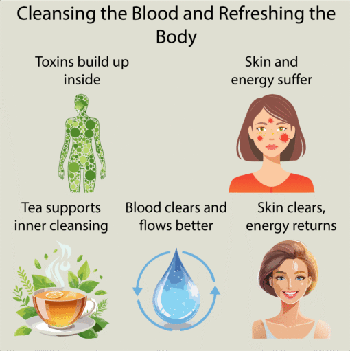 Blood Detox Tea - Image 3