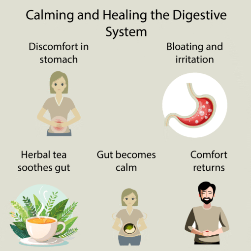 Colon Wellness Tea - Image 3