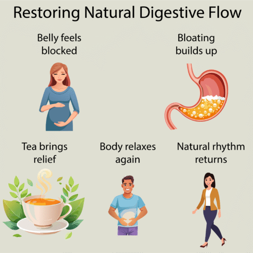 Constipation and Bowel Wellness Tea - Image 3