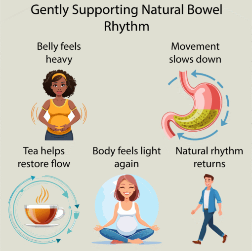 Digestive Regularity Tea - Image 3