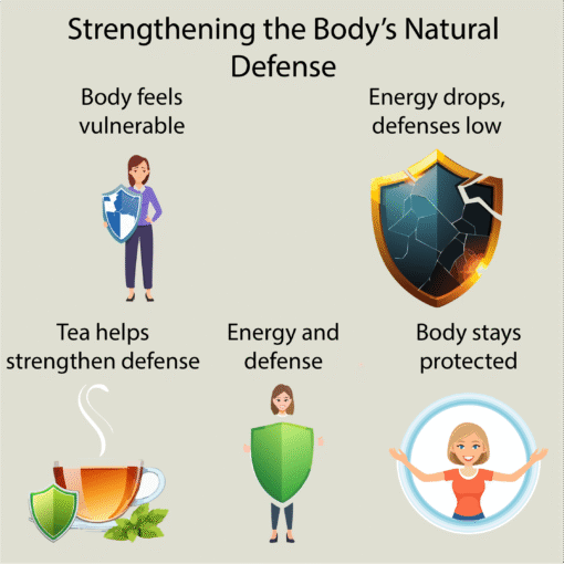 Immune Wellness Tea - Image 3