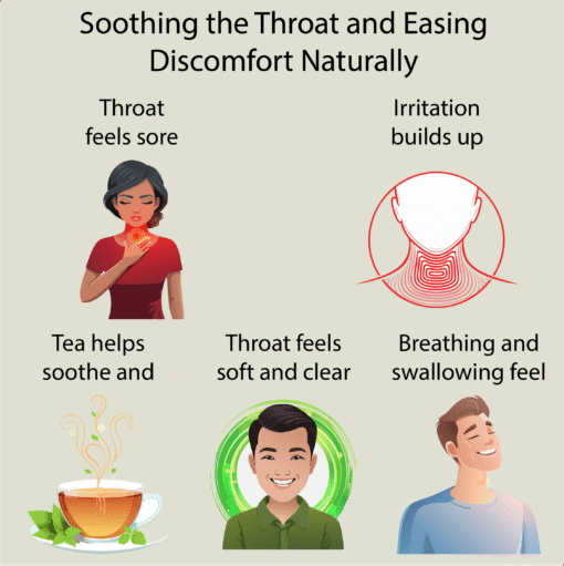 Throat and Tonsil Wellness Tea - Image 3